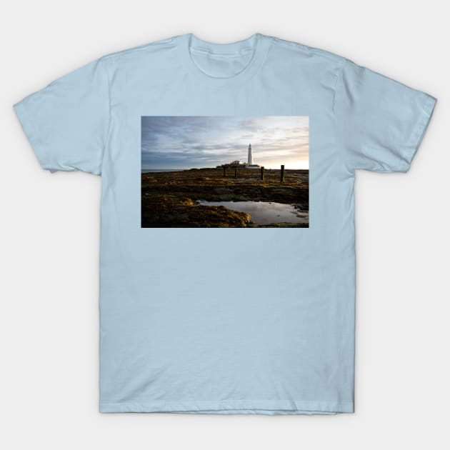 St Mary's Island in October sunshine T-Shirt by Violaman